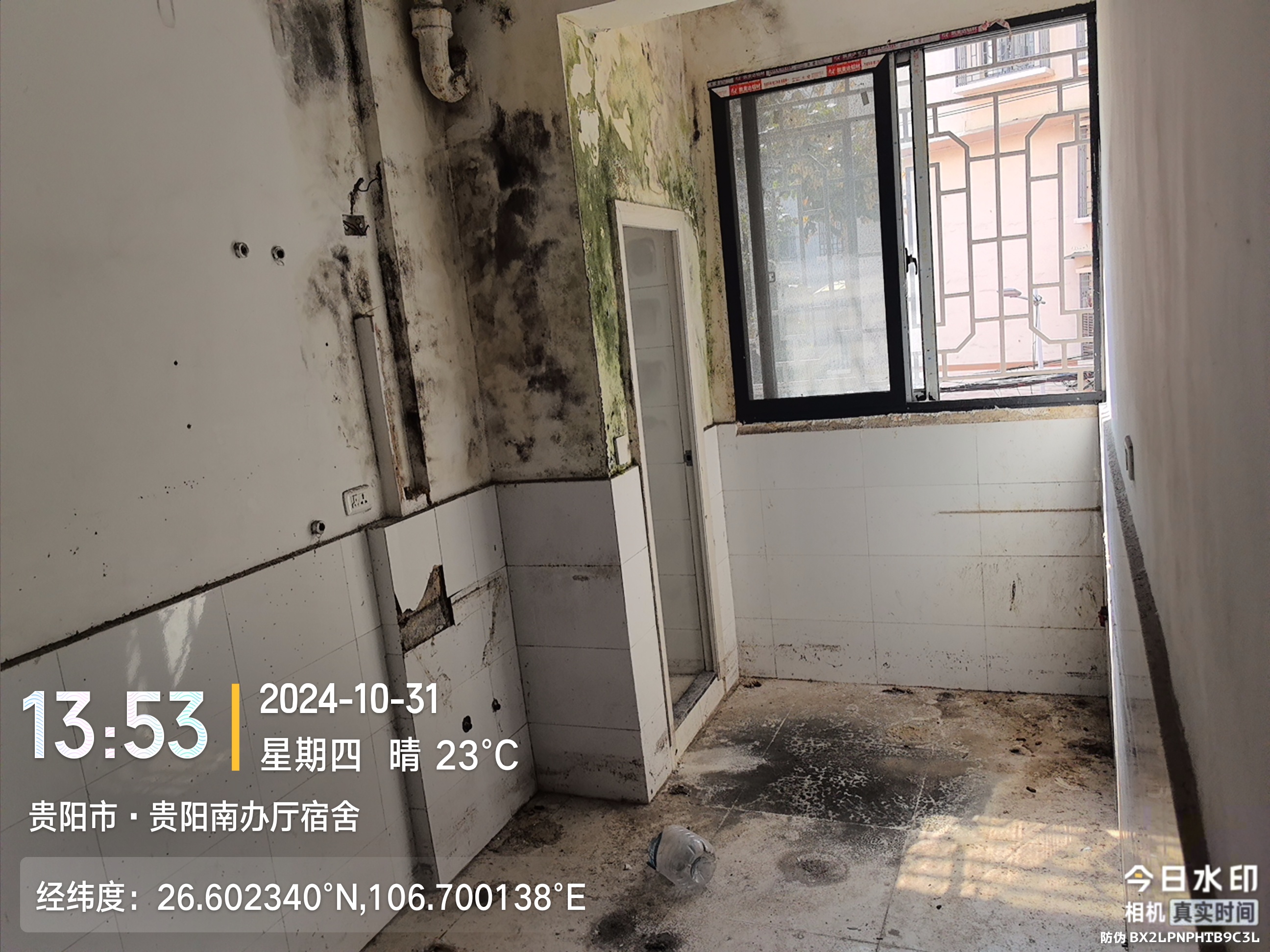 1748568837901005.jpg 微信圖片_202504281121431.jpg