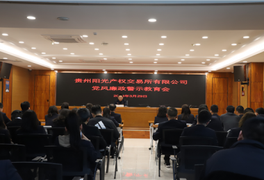 貴州陽光產(chǎn)權(quán)交易所開展黨風(fēng)廉政警示教育大會(huì)