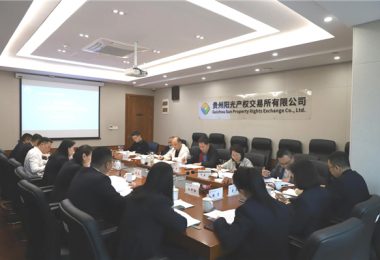 貴州省地方金融監(jiān)管局、貴州證監(jiān)局、貴陽市金融辦到貴州陽光產(chǎn)權(quán)交易所、貴州環(huán)交所開展權(quán)益類交易場所調(diào)研