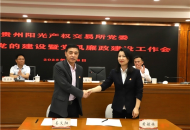 貴州陽光產(chǎn)權(quán)交易所黨委召開2023年黨的建設(shè)暨黨風廉政建設(shè)工作會