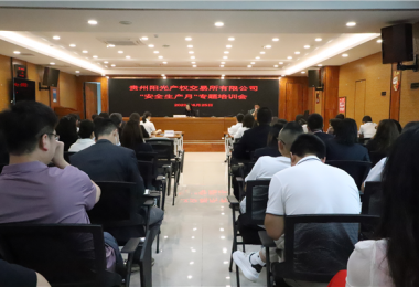 貴州陽光產(chǎn)權(quán)交易所有限公司舉辦2023年“安全生產(chǎn)月”專題培訓(xùn)