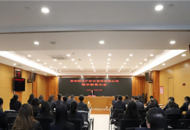 以案為鑒，警醒前行——貴州陽(yáng)光產(chǎn)權(quán)交易所黨委組織召開2024年警示教育大會(huì)